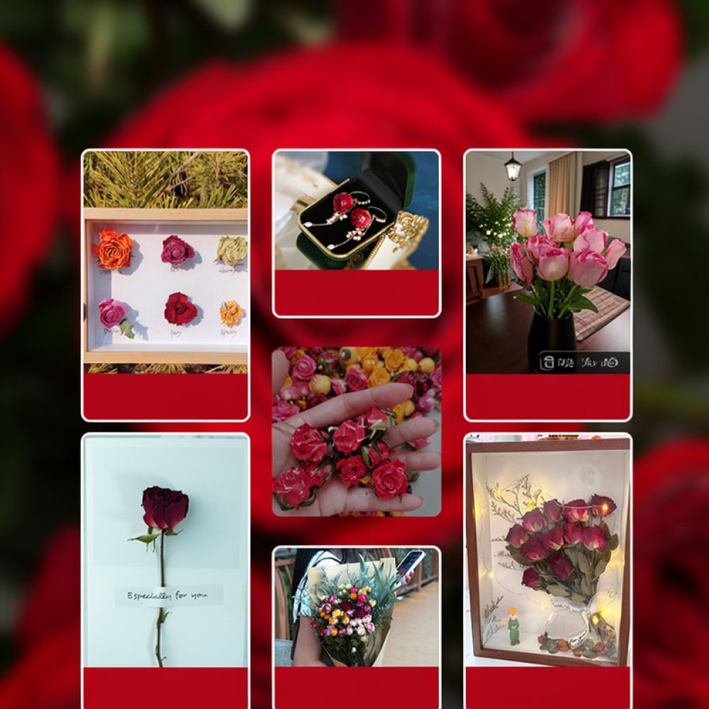 Resin Art Rose - Natural Dried Rose Flower Bouquet Bubble
