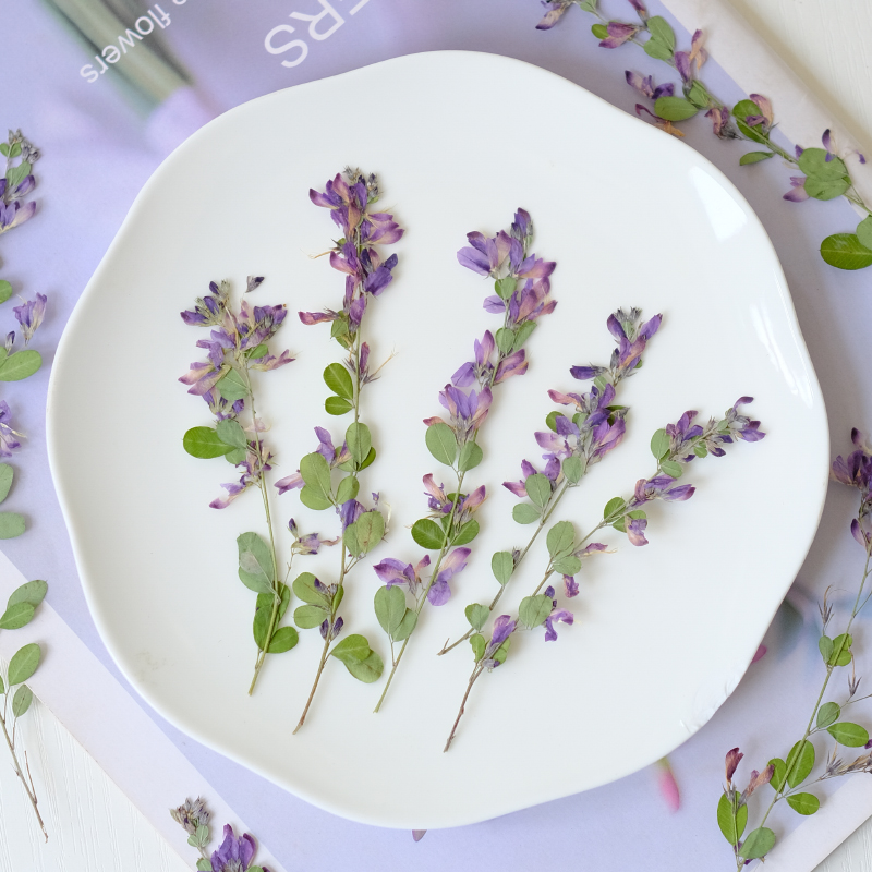 6pcs,nature Lespedeza Formosa  - Resin Art Baby 评论和价格